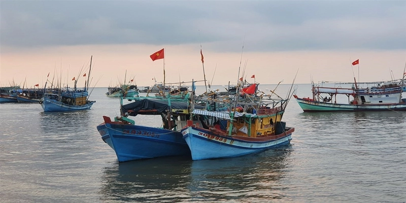 Duy Anh Web – Đơn vị thiết kế website thủy hải sản chuyên nghiệp