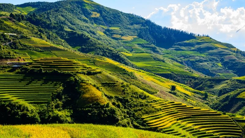 Duy Anh Web – Đơn vị thiết kế website uy tín hàng đầu tại Điện Biên