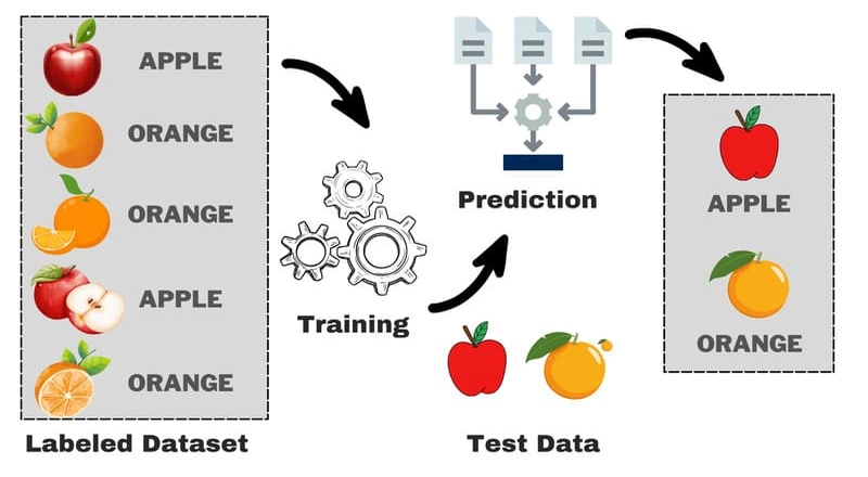 Supervised Learning là gì Nguyên lý, ví dụ và ứng dụng thực tế trong AI