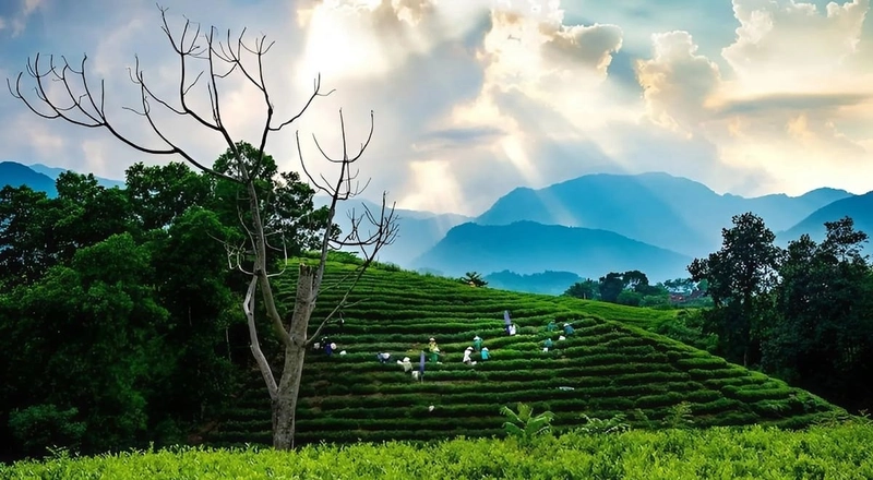 Nhu cầu thiết kế website ở Thái Nguyên