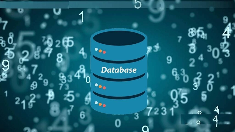 Database Là Gì? Các Loại Cơ Sở Dữ Liệu Và Vai Trò Của Database