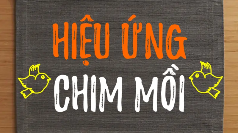 Hiệu Ứng Chim Mồi Là Gì? Phân Tích Chi Tiết Từ A-Z