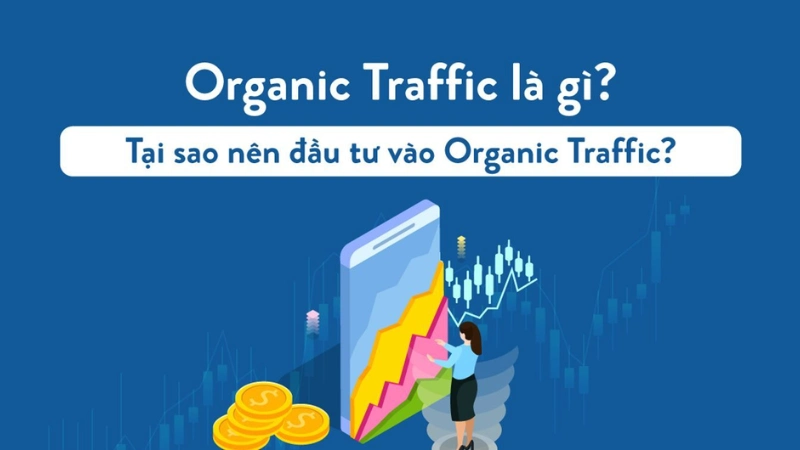 Organic Traffic Là Gì? Tại Sao Cần Đầu Tư Vào Organic Traffic