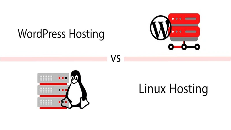Phân Biệt Hosting Linux Và Hosting Wordpress
