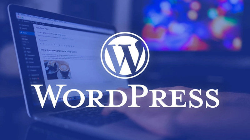Phân Tích Wordpress: Những Thống Kê Quan Trọng Bạn Cần Biết