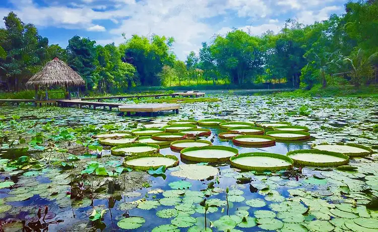 Thiết kế website tại Đồng Tháp Chuyên Nghiệp, Gía Tốt